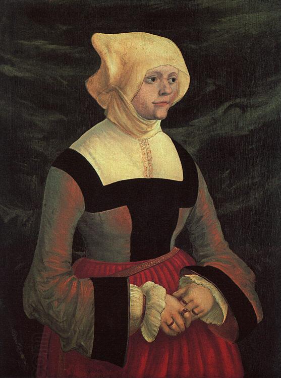 Albrecht Altdorfer Portrait of a Lady China oil painting art
